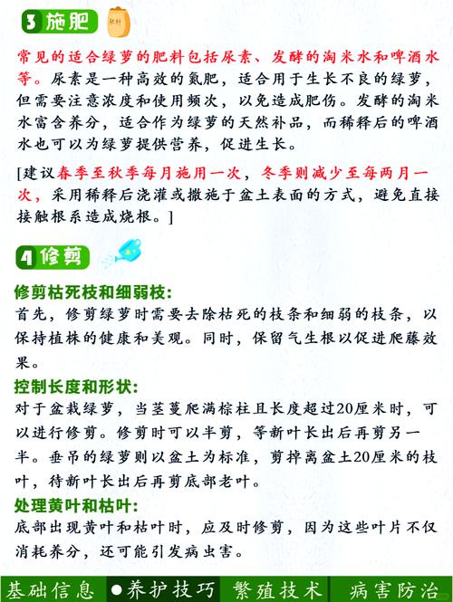 绿植养护常见问题解答：绿萝叶子发黄了怎么办？