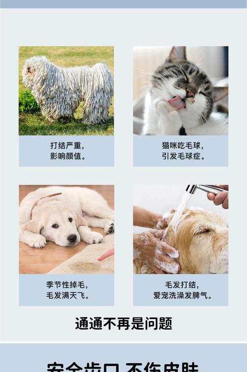 宠物毛发清理误区！这些工具越用越糟心