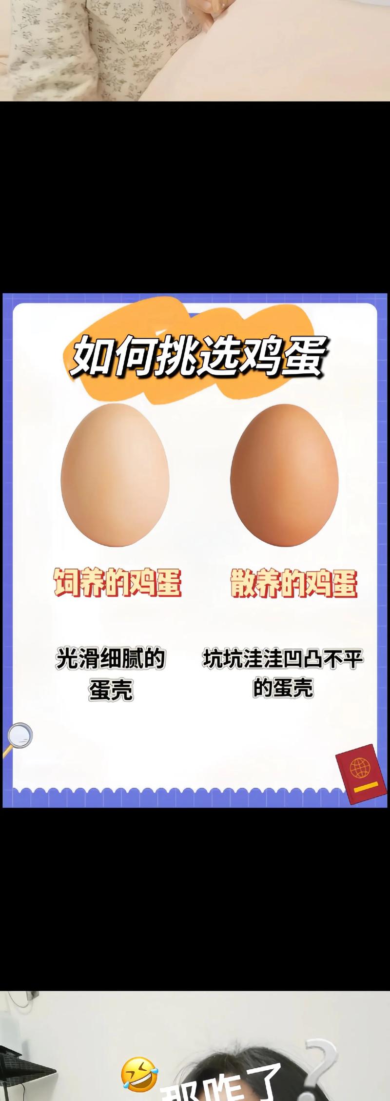 如何挑选新鲜鸡蛋看哪里