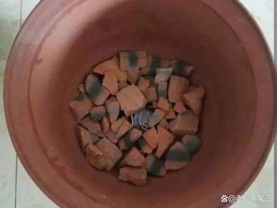 花盆排水？垫「碎瓦片」
