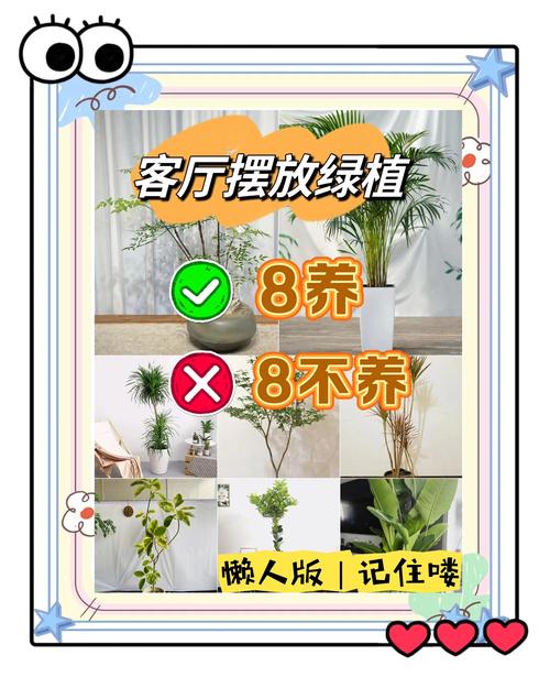 家居绿植养护，误区你避开了吗？
