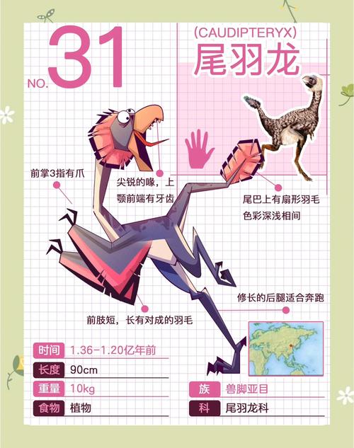 恐龙羽毛化石如何证明进化论？古生物学证据
