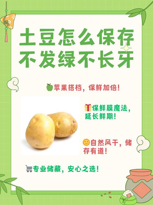 土豆久存不发芽？避光+低温+通风！