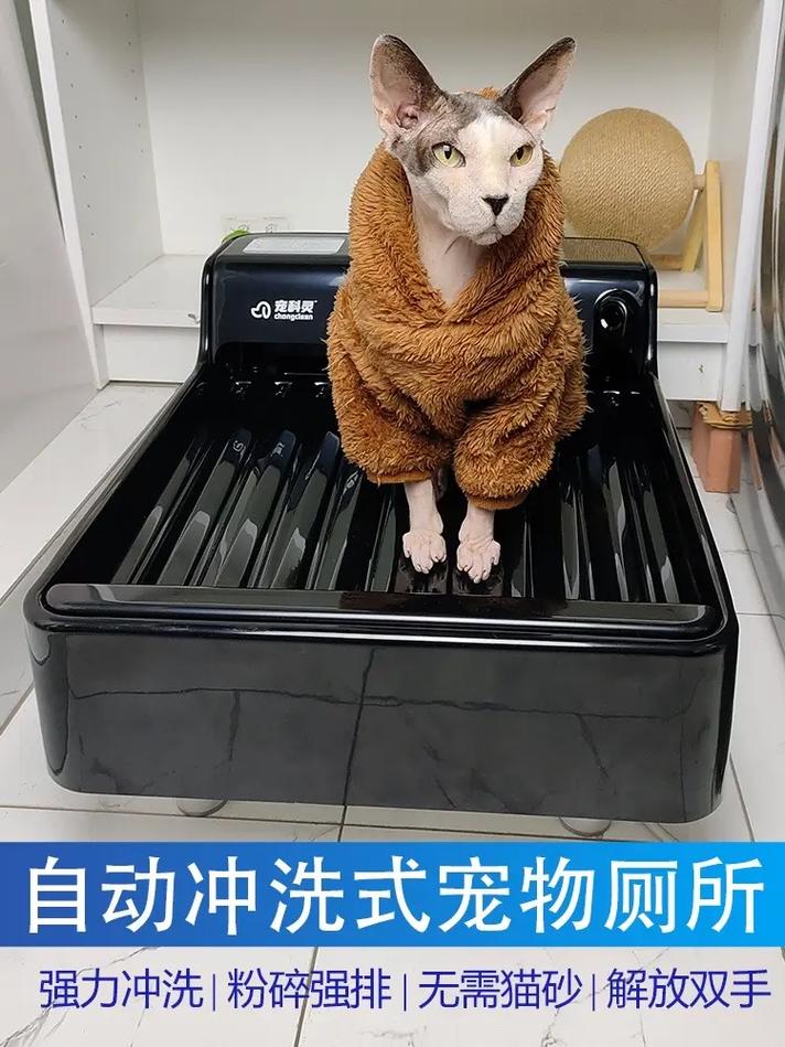 过期洗发水用途!清洗宠物厕所