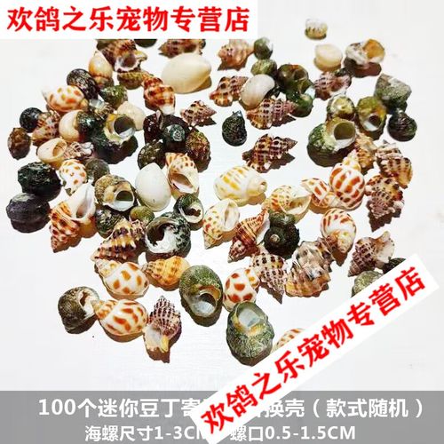 寄居蟹壳更换引导?壳口尺寸选择