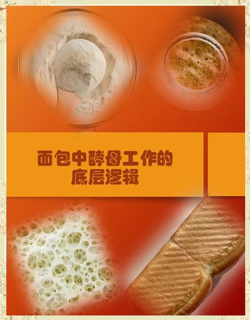 面包机酵母失效?更换「耐高糖酵母」