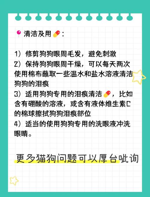 宠物泪痕预防优化！饮食与护理结合