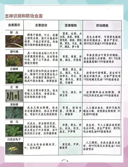 家居绿植养护，常见问题解答
