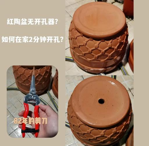 花盆排水孔堵塞？轻松疏通小窍门