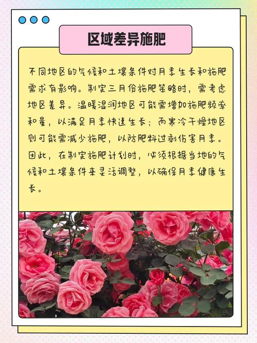 花盆施肥时间误区！科学施肥指南
