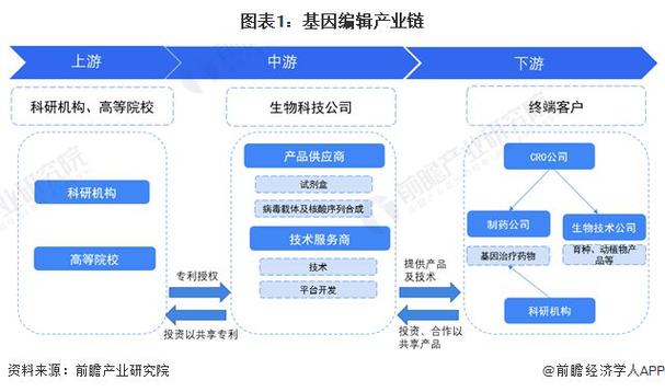 基因编辑技术的未来展望