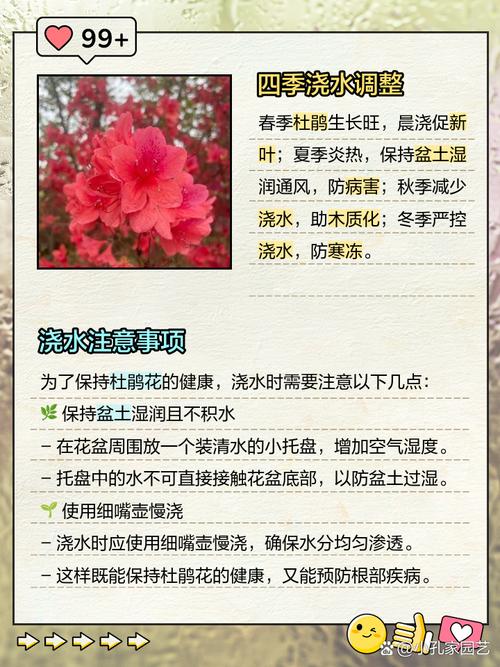 花盆浇水时间选择！植物生长旺盛