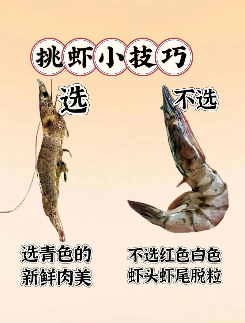 如何挑选新鲜的海鲜？渔民教我的小技巧