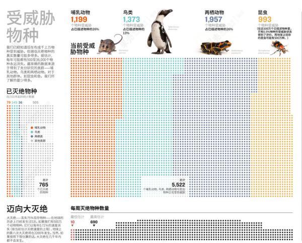 全球物种灭绝的速度