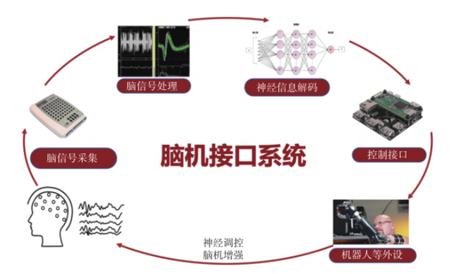 脑机接口如何实现语言翻译？神经语言学突破