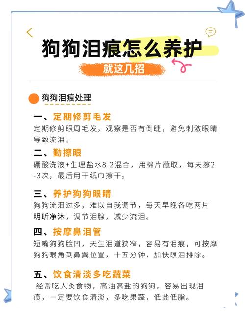 宠物泪痕清洁误区！这些方法可能越弄越糟