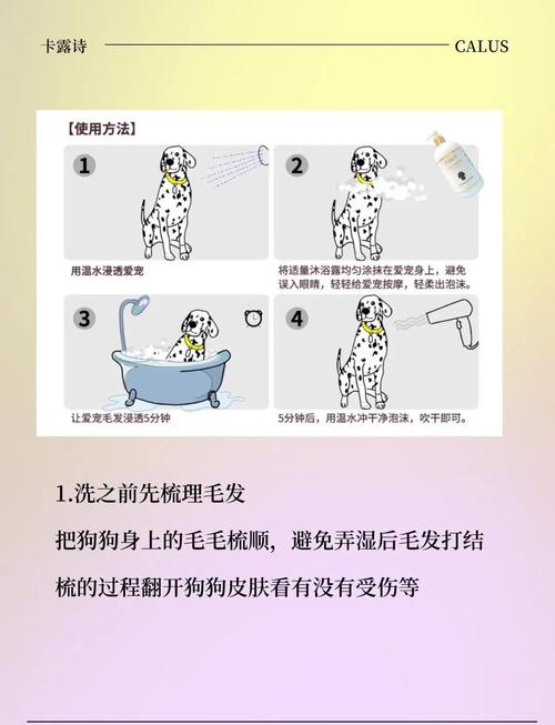 宠物毛发家庭清洁妙招
