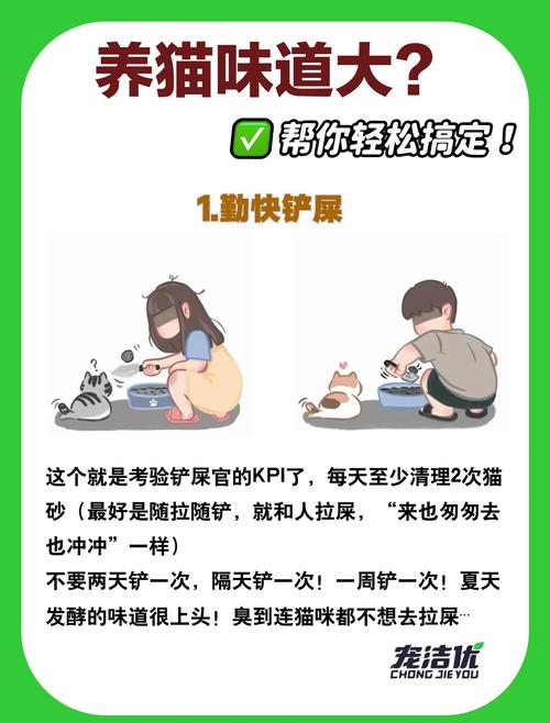 快速去除宠物异味！这些技巧养宠家庭必备