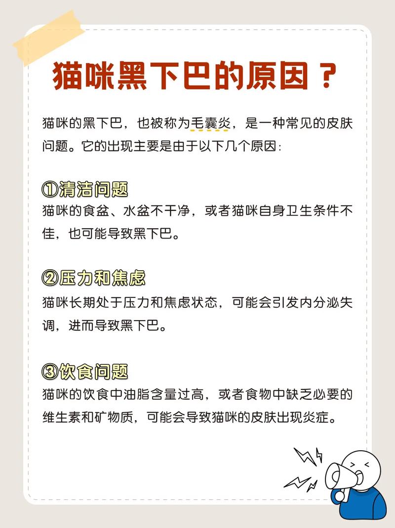 猫咪黑下巴怎么处理？清洁和护理方法