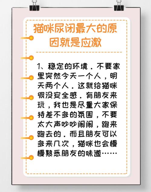 猫咪尿闭怎么办？紧急处理和预防措施