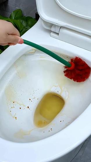 马桶圈缝隙脏？棉签蘸酒精清洁！