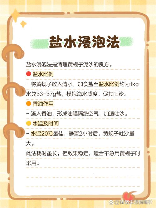 清洗贝类吐沙的方法